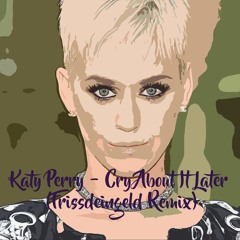 Katy Perry - Cry About It Later (Frissdeingeld Remix)