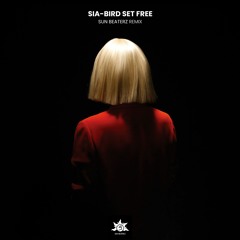 Sia - Bird Set Free (Sun Beaterz Remix)