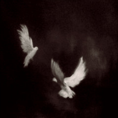 Hold me tightly in your arms and tell me everything will be ok