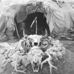 🪶⚡️🔥💧🪨