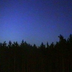 Forest Lullaby