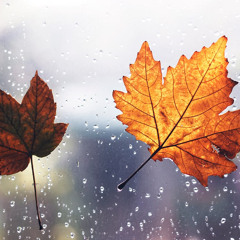 Leaves Falling - Chill Hip-Hop Beat