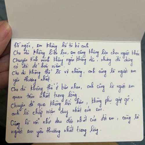 Hạnh Phúc Mới - Vũ.