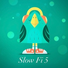 Slow Fi 5