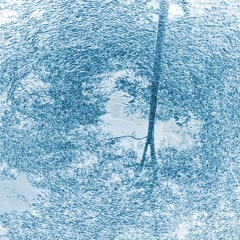 Mal Rojo - Buddy [LEAK]