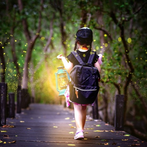 Education in a Time of Human-Caused Ecological Devastation