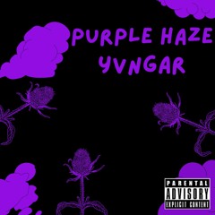 Purple Haze (prod. Meerak)