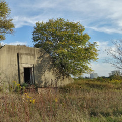 Kingsbury_Corruption