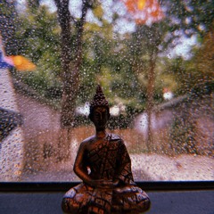 On loneliness (rainy garden session)