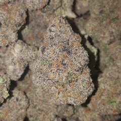 Worldwidewoo - Bow Bow Ft Souldavinci