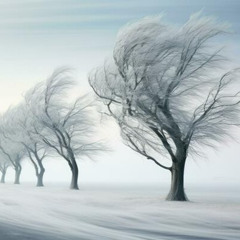 The North Wind