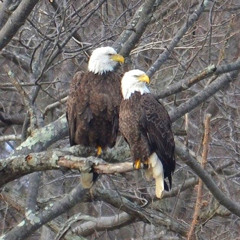 Take Some and Leave Some and Give Some