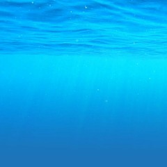 Whale cry (feat. Enes & Mathias)