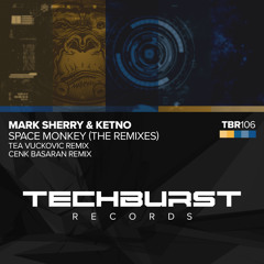 Space Monkey (Cenk Basaran Remix)