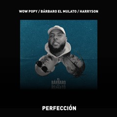 Perfección
