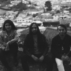 Alienated Consciousness- Humano Reptil