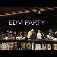 EDM PARTY (Radio Edit)
