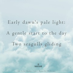 Early Dawn’s Pale Light  ( Naviarhaiku 517 )