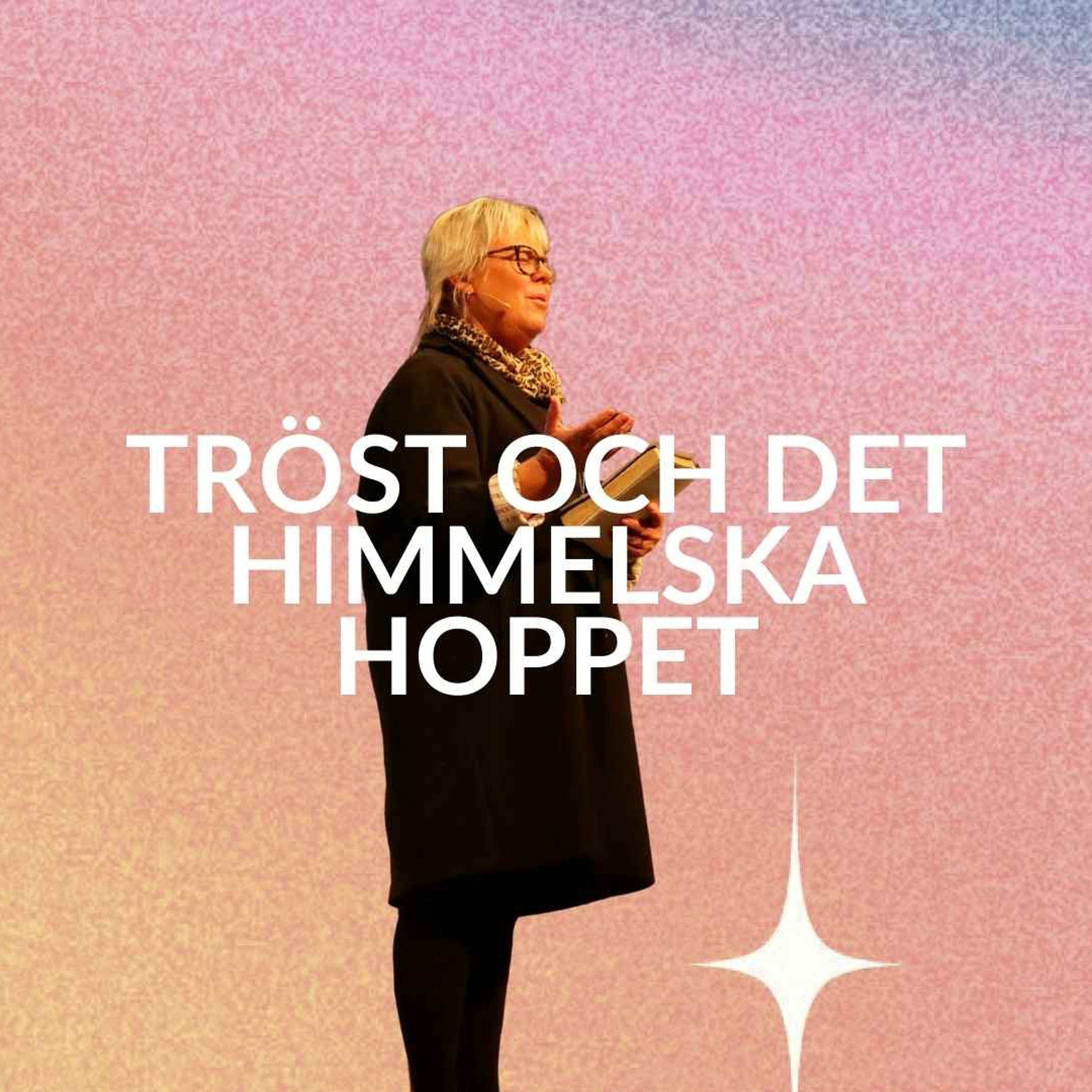 Gudstjänst: "Tröst och det himmelska hoppet" -Chatrine Carlson - 3/11 episode artwork