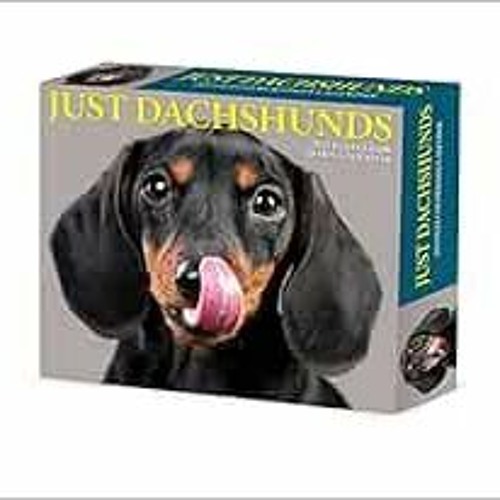 View EBOOK 🖊️ Dachshunds 2023 Box Calendar by Willow Creek Press KINDLE PDF EBOOK EP