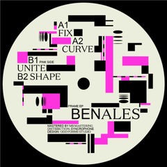 CRF 017 - BENALES - Frame EP