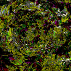 Plum Garden (naviarhaiku623)