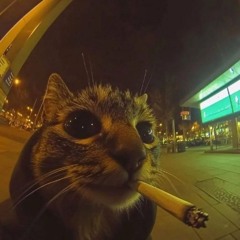 Oasis ( feat. 김크앙 )