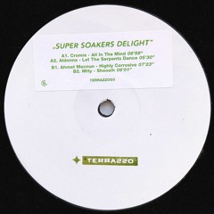 Various - Super Soakers Delight (TERRAZZOO3)