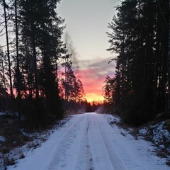 Small boreal owls calling