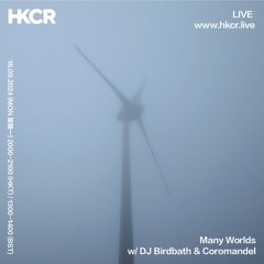 Many Worlds w DJ Birdbath & Coromandel - 16/09/2024