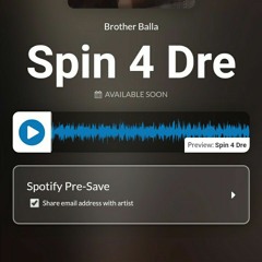 SPIN 4 DRE feat BRATHABALLA.mp3