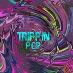 Trippie Hippie-Trippin Hard(prod.StoeDogg)