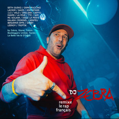 DJ ZEBRA REMIXE LE RAP FRANCAIS (2024)
