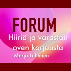 Forum - Hiiriä ja varaston oven korjausta