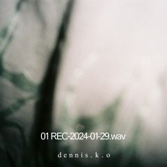 01 REC - 2024 - 01 - 29