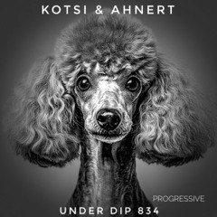 Kotsi & Ahnert UNDER DIP Ep. 834 Progressive House (120-121bpm)