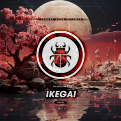 Hasegawa - As it Seems