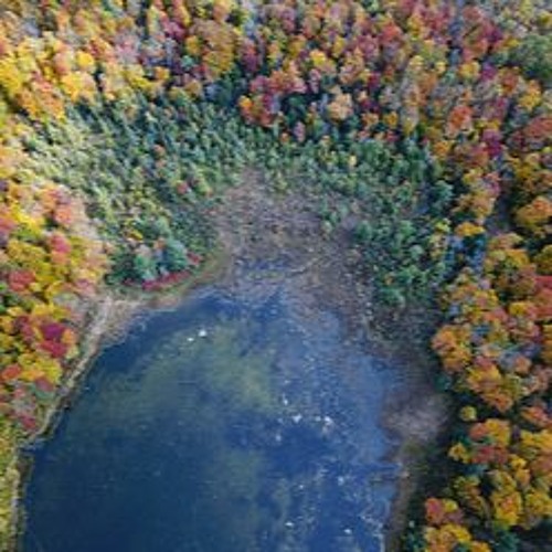 Autumns End