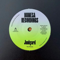 Numesa - Junkyard & Slime Dub 7" Vinyl - Limited run