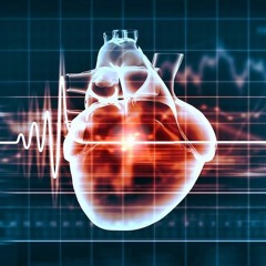 3KinGs - Heart Beat