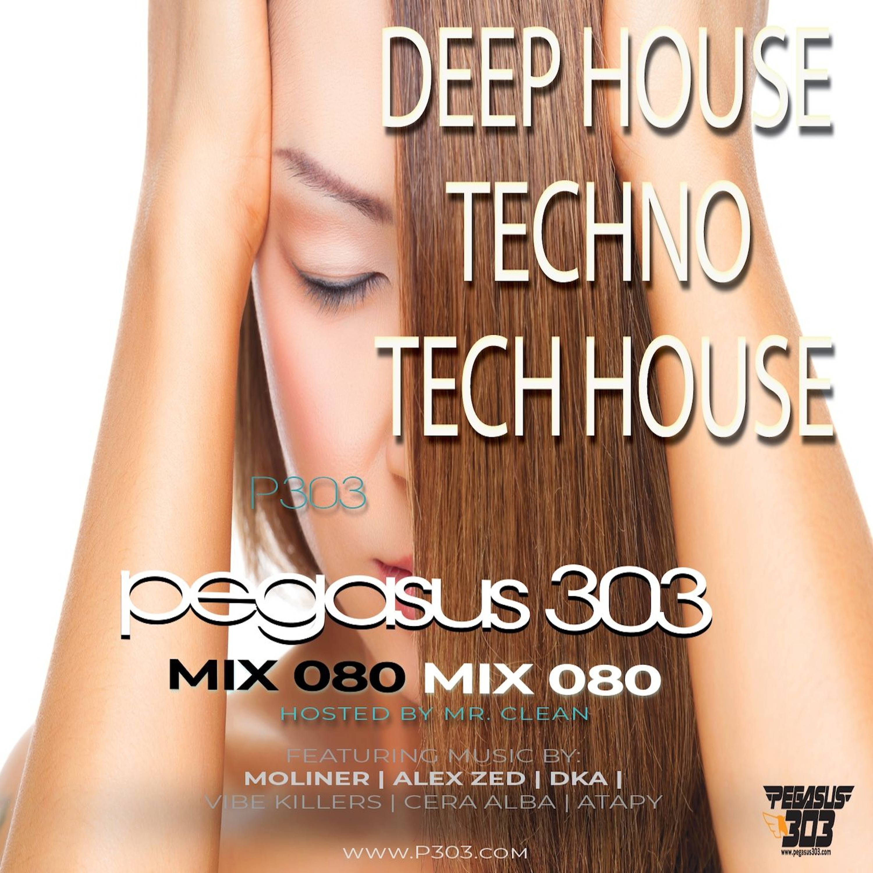 Pegasus 303 (mrclean)