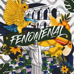 HOOKED, Damaso, Adk Music - Fenomenal