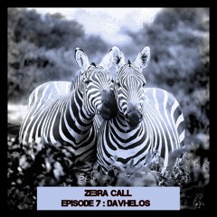 Zebra Call - Episode 007 with Davhelos