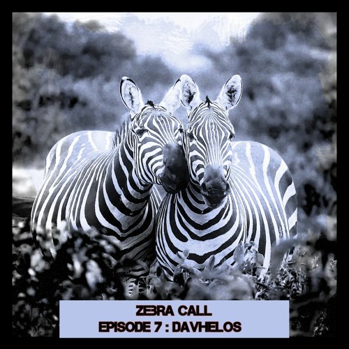 Zebra Call - Episode 007 with Davhelos