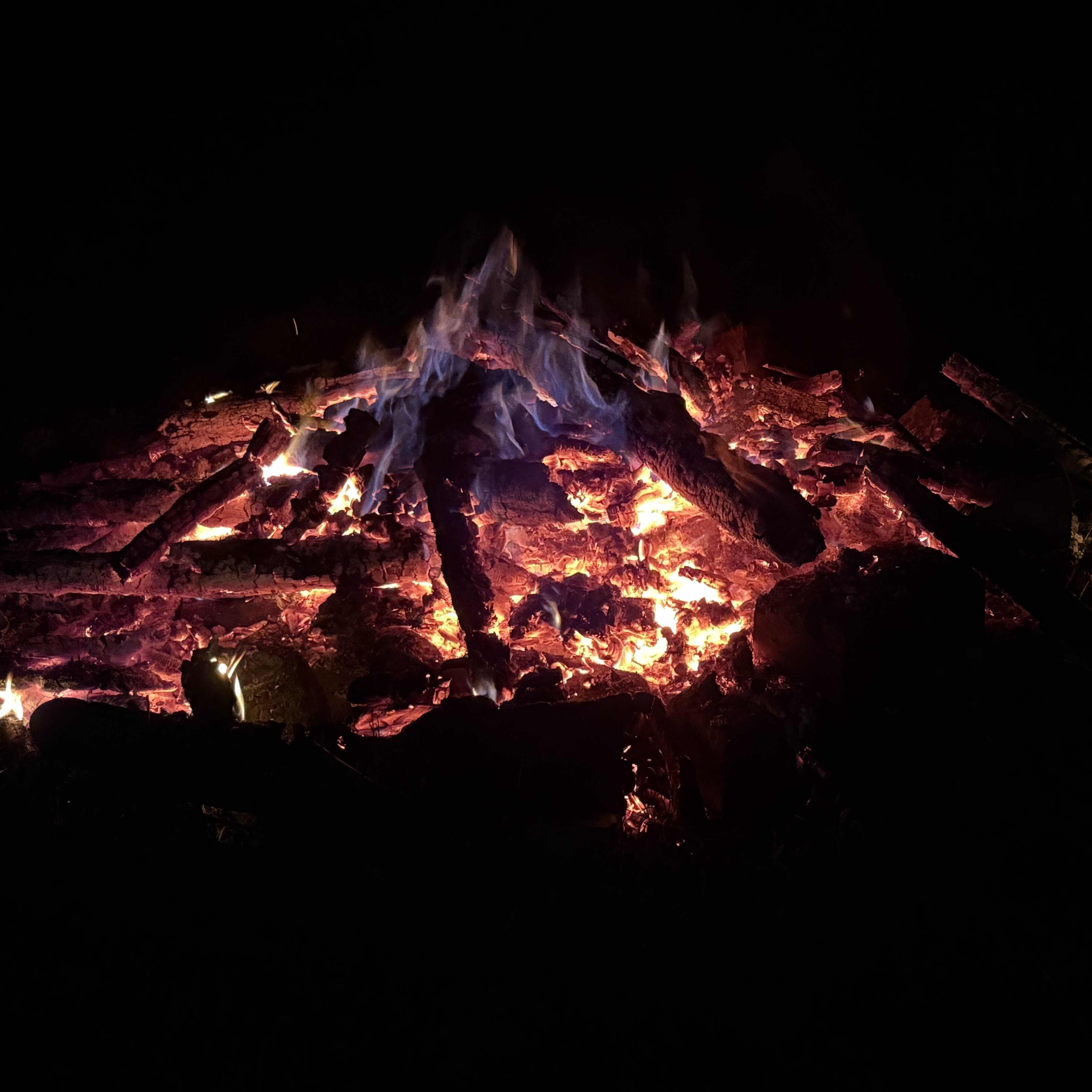 tears of auryn’s shadows