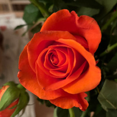 leuchdende augen mix