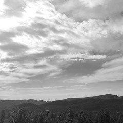 Let Me Know When It Changes