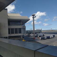 ai kot anisi ei (COVER) 🕊️