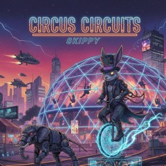 Circus circuits