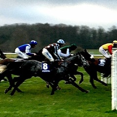 At The Races.WAV